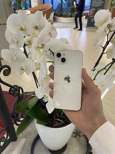 poco g4: IPhone 13, Б/у, 256 ГБ, White Titanium, Защитное стекло, Чехол, 80 % — 2