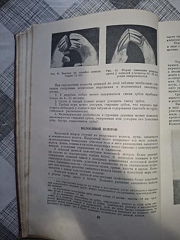 x tep: Продаю редкую книгу про лощадей разных стран. Тираж-25тыс .экз. Год — 6