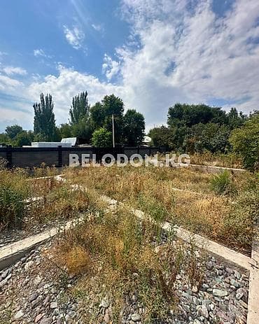 участки балыкчы: 4 соток — 4