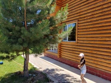 иссык куль золотые пески частный сектор: Коттедж, РАДУГА ЦО Радуга West, Кош-Кол, Детская площадка, Парковка, стоянка, Охраняемая территория — 3