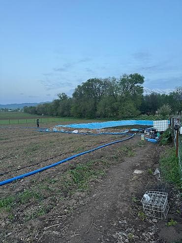 капельницы джал: 💧 СИСТЕМА КАПЕЛЬНОГО ПОЛИВА "ПОД КЛЮЧ" — ЗАБУДЬТЕ О РУЧНОМ ПОЛИВЕ! — 2