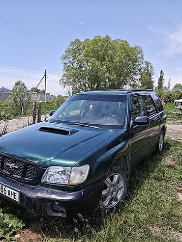 ош жапалак: Subaru Forester: 2000 г., 2 л, Кол менен иштөөчү, Бензин, Кроссовер — 3
