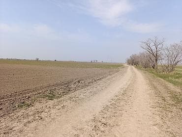 дом под бизнес: 100 соток, Для сельского хозяйства — 4