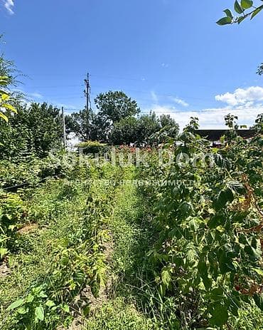 Недвижимость: 🏠Продается дом в г. Шопоков 🟡Комнаты: 5 🟡 Участок: 8 соток 🟡Отопление — 8