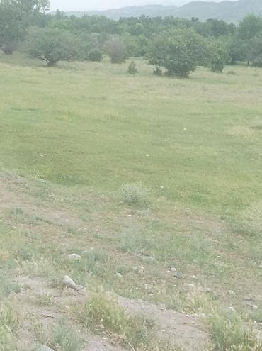 гараж металический: Участок земли(багарная пашня)у водоёма — природная локация для отдыха — 3