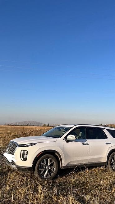 ремонт панорамных крыш: Hyundai Palisade: 2020 г., 3.8 л, Автомат, Бензин, Кроссовер — 1