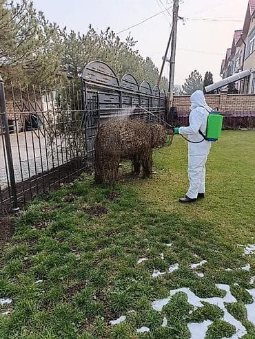 бесплатные объявления кыргызстан: Другие услуги — 1