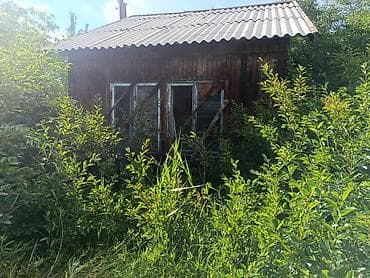 орундук: Дачный участок с садовым домиком - Участок в зелёном месте, окружён — 2