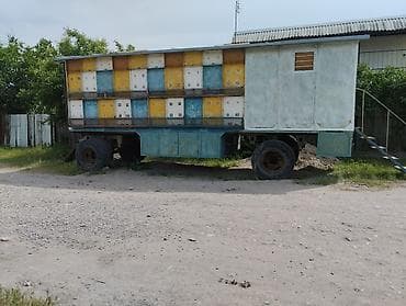 дом на колесе: Прицеп, Special trailer — 2