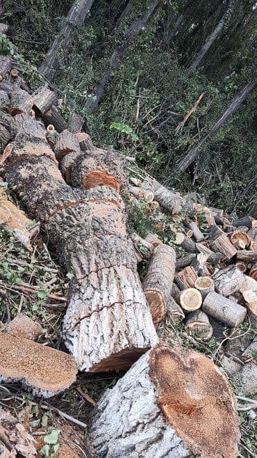 дом под ключ бишкек цена: Бак кыябыз бардык турлорун абреска кылабыз отун кылып даярдайбыз? — 2