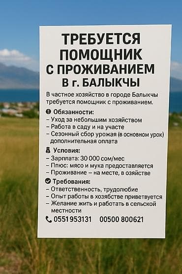 В частное хозяйство в городе Балыкчы требуется помощник с проживанием