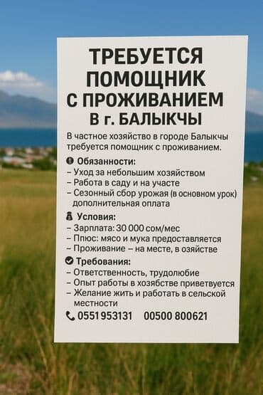 ищу работы бишкек: В частное хозяйство в городе Балыкчы требуется помощник с проживанием — 1