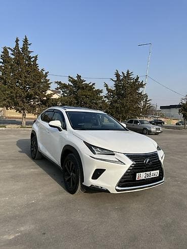 Lexus: Lexus NX: 2020 г., 2.5 л, Автомат, Бензин, Кроссовер — 3