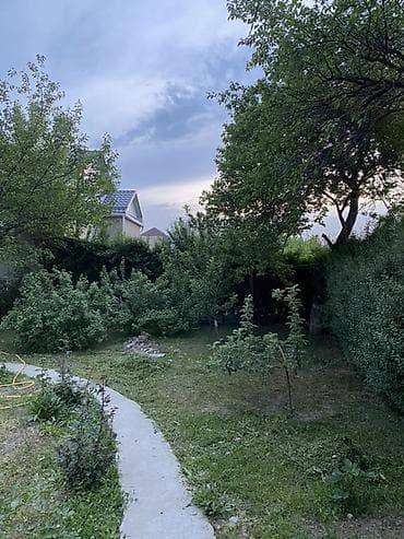 Жер тилкелери: 5 соток, Курулуш, Кызыл китеп — 3