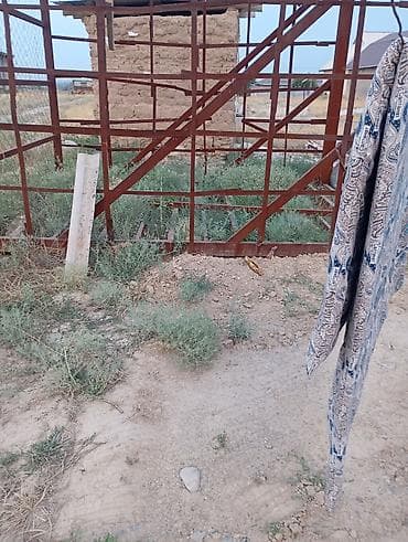 Бөлмөлөрдү ижарага берүү: Продаётся дом свет вода есть - Дом с несколькими комнатами на полу — 4
