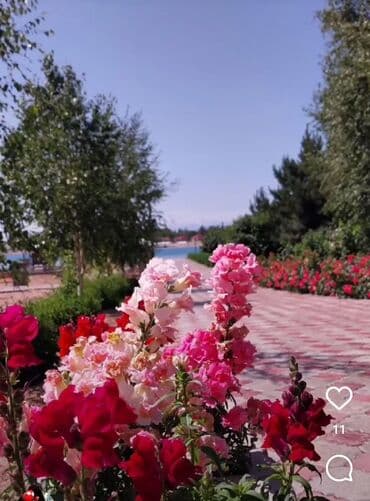 кивартира ош: Коттедж, КВАРТИРА | Royal beach, Чок-Тал, Балдар аянтчасы, Унаа токтотуучу жай, унаа туруучу жай, Коргоодогу аймак — 2