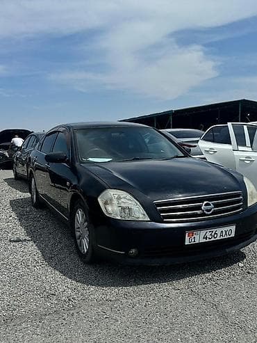 нисан тиана: Nissan Teana: 2003 г., 1.8 л, Автомат, Бензин, Седан — 6