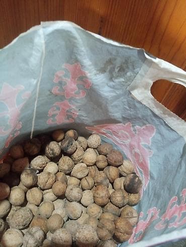 Грецкие орехи в скорлупе - Целые, не очищенные орехи в плотной