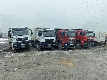 пижама бу: Сдаю самосвал Howo, 30000 тонн, Долгосрочно — 3