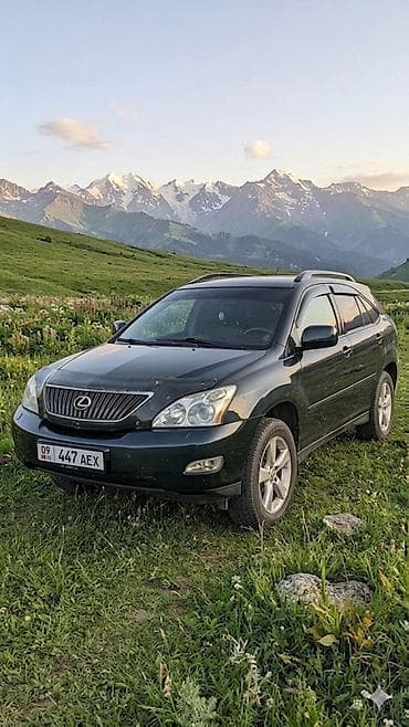 Lexus RX: 2003 г., 3.3 л, Автомат, Бензин, Кроссовер — 1