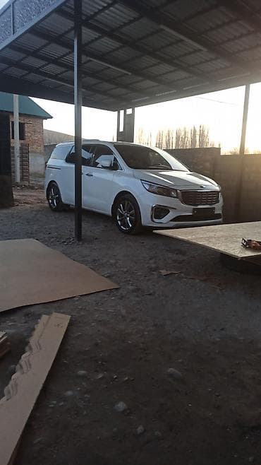 sprinter delfin: Kia Carnival: 2019 г., 2.2 л, Автомат, Дизель, Минивэн — 1