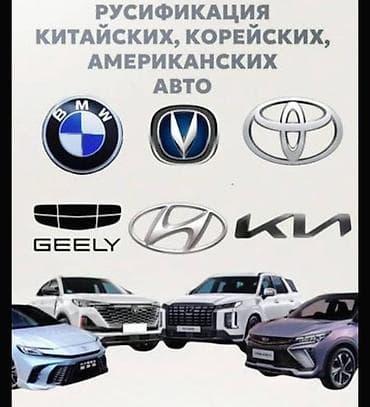 10 pro max: Услуга: русификация мультимедийных систем и бортовых функций — 10