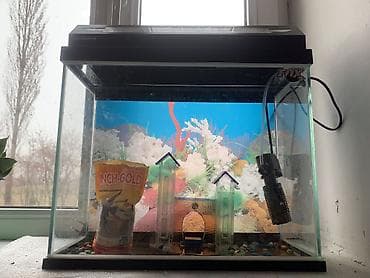 тез арада: Акварюм+филтр+корм+8рыба — 2