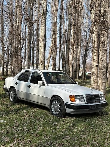 Mercedes-Benz W124: 1994 г., 2.2 л, Ручные, Бензин, Седан