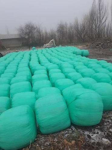 животных: Силос в тюках (сенаж в стрейч-пленке) - Кормовые тюки в зеленой — 1