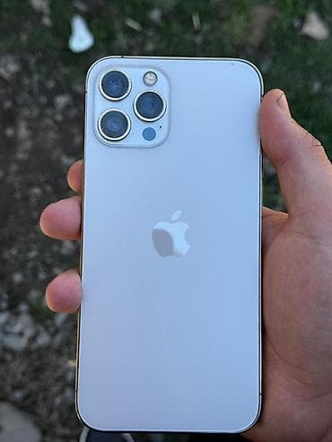 nokia e72: IPhone 12 Pro Max, Серебристый — 1