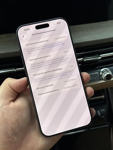 чехол ipad pro: IPhone 17 Pro Max, Б/у, 256 ГБ, Синий, Защитное стекло, Чехол, Кабель, В рассрочку, 100 % — 10