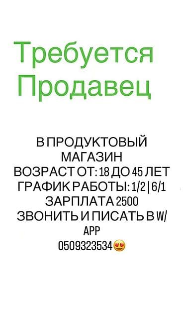 работа для водителей категории с: Требуется продавец в продуктовый магазин. - Возраст: от 18 до 45 лет — 1