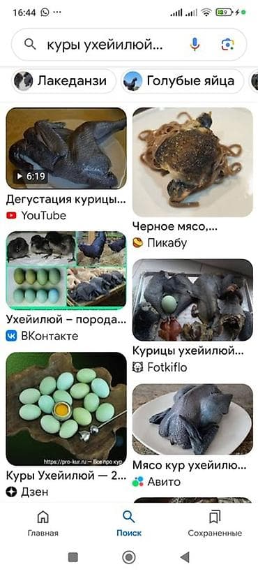 яйца кур: Яйца китайской курицы ухей лихо для инкубации. Черное мясо черные — 2