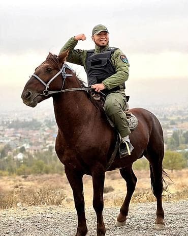 Видеонаблюдение, охрана: Системы видеонаблюдения, Охраннопожарные сигнализации, Физическая охрана | Офисы, Квартиры, Дома | Демонтаж, Настройка, Подключение — 1