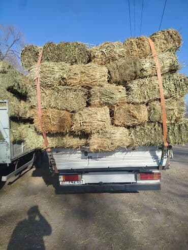 корм для домашних животных: Чоп аралаш камыш сатылат доставка мн 
115 штук — 2