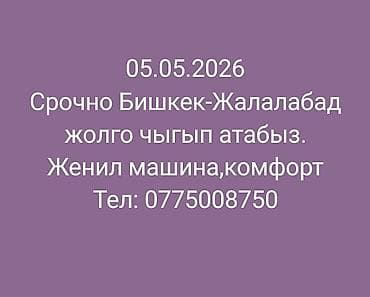 Авто кызматтары: Пассажирская поездка по маршруту Бишкек — Джалал-Абад. Дата выезда — 1