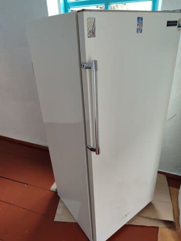 Холодильник Зил, Новый, Двухкамерный