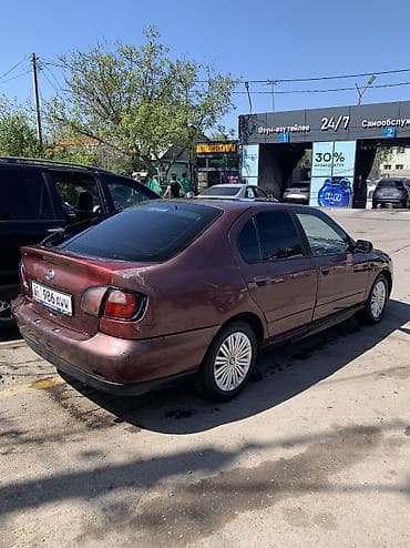 прадо 130: Nissan Primera: 2001 г., Седан — 3