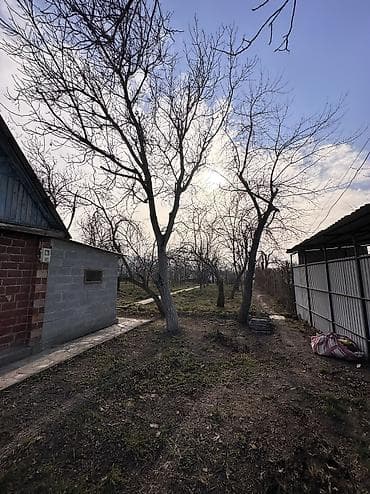 карагечева роща: 5 соток, Для бизнеса, Красная книга, Тех паспорт, Договор купли-продажи — 4