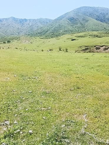 срочно продаю дешево: 10 соток, Для строительства, Красная книга — 4