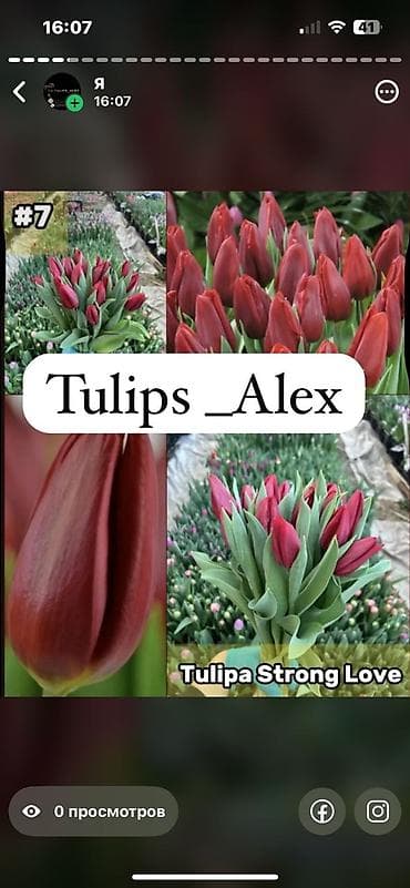 Свежесть весны и аромат праздника - ваш секрет успеха! Дорогие at lalafo.kg Свежесть весны и аромат праздника - ваш секрет успеха! Дорогие