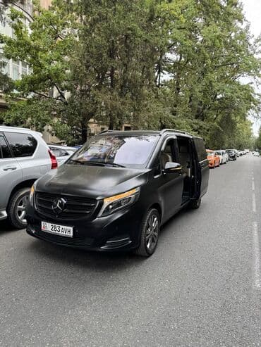 тур по европе все включено: Перевозка пассажиров — 2