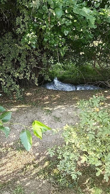 20 соток, Айыл чарба үчүн, Кызыл китеп — 3