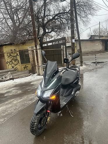 Самурай 150 куб Тяга смерть 🪦 Экспертиза есть Китай есть Пробег at lalafo.kg Самурай 150 куб Тяга смерть 🪦 Экспертиза есть Китай есть Пробег