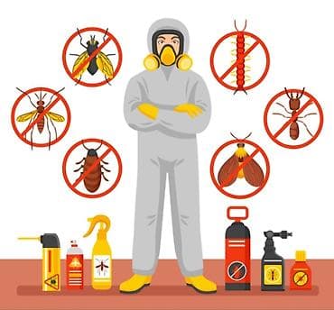 Клининговые услуги: Дезинфекция, дезинсекция, | Клопы, Тараканы, Муравьи, | Подвал, погреб, Офисы, Транспорт — 1