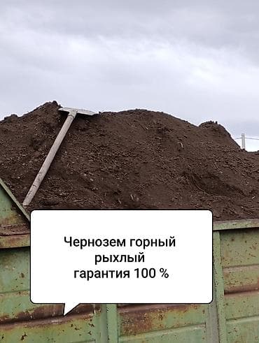 В тоннах, Зил