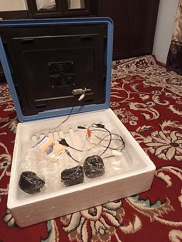 аппарат для бизнес: Срочно продаю Инкубатор для яиц с автоматикой - Вместительный — 1