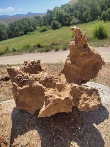 все для декора: Декор для дома и сада — 3