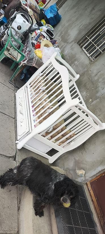 детская кроватка из дерево: Манеж-кровать, Б/у, Раскладной, Дерево — 4