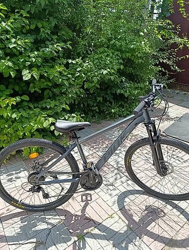 speedone frame: Горный велосипед, Рама XL (180 - 195 см), Сталь, Новый — 3
